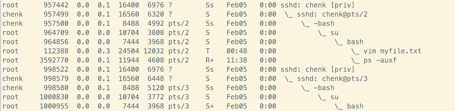 image-20250206113904636